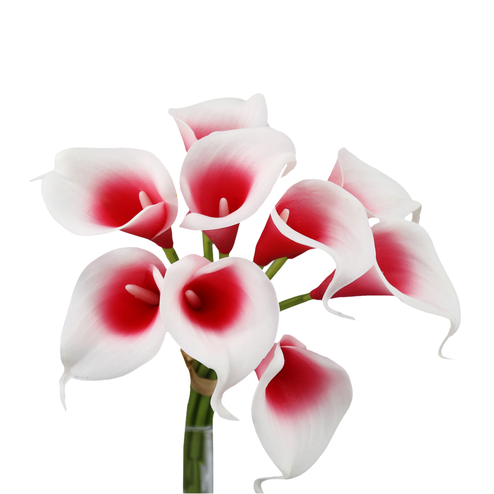 14"-10 stem bundled Real touch Red Calla lilies