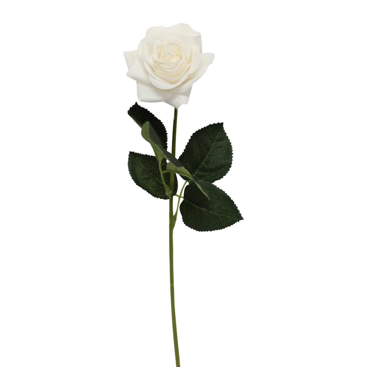 Pack of 48 stems-real touch rose